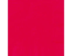 Rode Servetten 2 Laags 33cm 20st