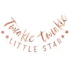 Rose Gouden Slinger Twinkle Twinkle 3m