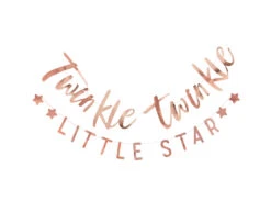 Rose Gouden Slinger Twinkle Twinkle 3m