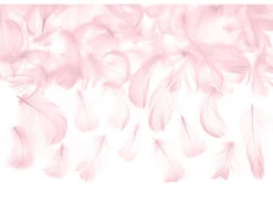 Roze Decoratie Veren 3g