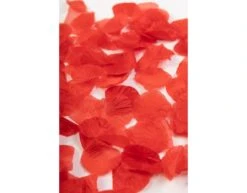 Rozenblaadjes Rood 144st