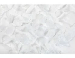 Rozenblaadjes Wit 144st