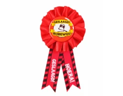 Rozet Geslaagd Rijbewijs