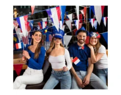 Strik Frankrijk -Feestspullen Winkel strik frankrijk 3