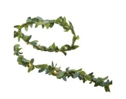 String Lights Foliage