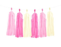 Tassel Slinger Roze 2m