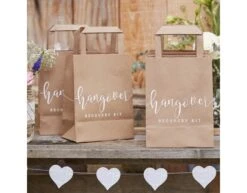 Uitdeeltasjes Hangover 26,5cm 5st -Feestspullen Winkel uitdeeltasjes hangover 265cm 5st 2