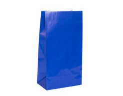 Uitdeelzakjes Blauw 25cm 12st