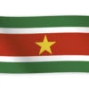 Vlag Suriname 1,5m