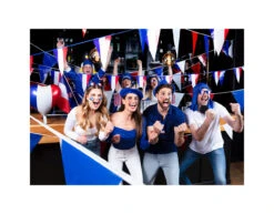 Vlaggenlijn Frankrijk 10m -Feestspullen Winkel vlaggenlijn frankrijk 10m 6