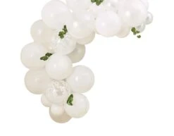 Witte Ballonnenboog Met Bladeren