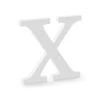 Witte Letter X Hout 19,5cm