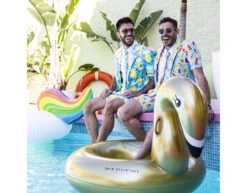 Zwemband Zwaan Goud 95cm -Feestspullen Winkel zwemband zwaan goud 95cm 3