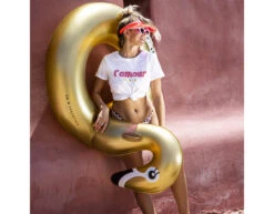 Zwemband Zwaan Goud 95cm -Feestspullen Winkel zwemband zwaan goud 95cm 5