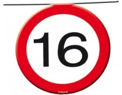 Slingers 16 Jaar Verkeersbord 12m