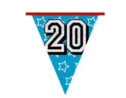 Slingers 20 Jaar Glitter 8m -Feestspullen Winkel slingers 20 jaar glitter 8m 6