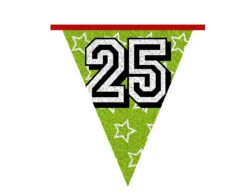 Slingers 25 Jaar Glitter 8m -Feestspullen Winkel slingers 25 jaar glitter 8m 2