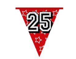 Slingers 25 Jaar Glitter 8m -Feestspullen Winkel slingers 25 jaar glitter 8m 3