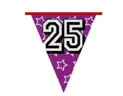 Slingers 25 Jaar Glitter 8m -Feestspullen Winkel slingers 25 jaar glitter 8m 6