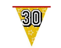 Slingers 30 Jaar Glitter 8m -Feestspullen Winkel slingers 30 jaar glitter 8m 4