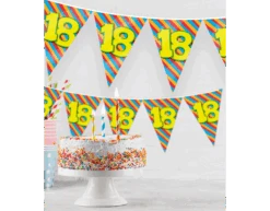 Feestspullen Winkel 26 Feestspullen Winkel -Feestspullen Winkel vlaggenlijn 100 jaar gekleurd 10m 1