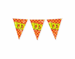 Vlaggenlijn 100 Jaar Gekleurd 10m