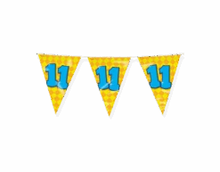 Vlaggenlijn 11 Jaar Gekleurd 10m