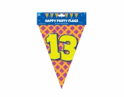 Vlaggenlijn 13 Jaar Gekleurd 10m -Feestspullen Winkel vlaggenlijn 13 jaar gekleurd 10m 2