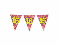 Vlaggenlijn 16 Jaar Gekleurd 10m