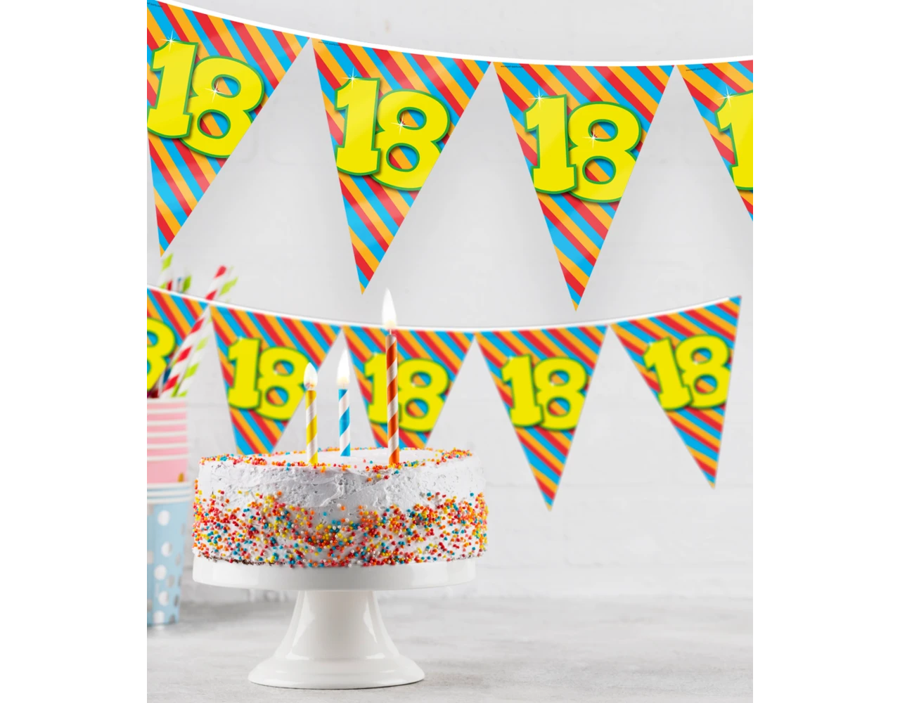 Vlaggenlijn 18 Jaar Gekleurd 10m 2 Vlaggenlijn 18 Jaar Gekleurd 10m - Afbeelding 2