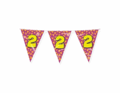 Vlaggenlijn 2 Jaar Gekleurd 10m