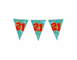 Vlaggenlijn 21 Jaar Gekleurd 10m