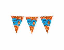 Vlaggenlijn 50 Jaar Gekleurd 10m