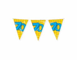 Vlaggenlijn 70 Jaar Gekleurd 10m