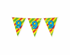 Vlaggenlijn 9 Jaar Gekleurd 10m